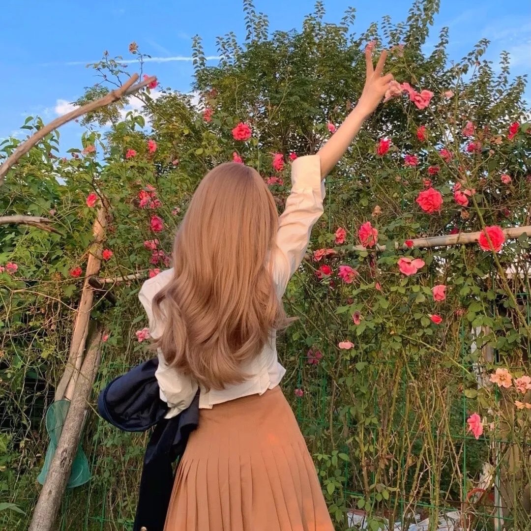 风临樱花开